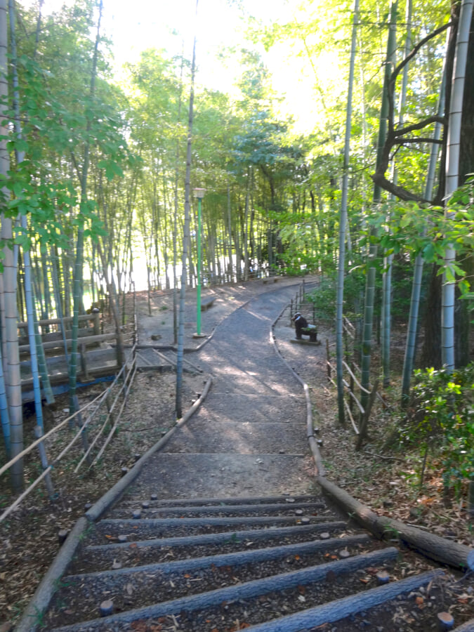 城山公園の写真 ©KKPCW(CC BY-SA 4.0)