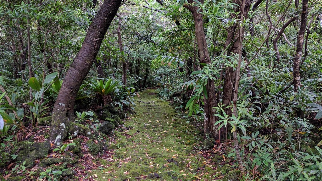 八丈植物公園の写真 ©i-saint(CC BY 2.0)