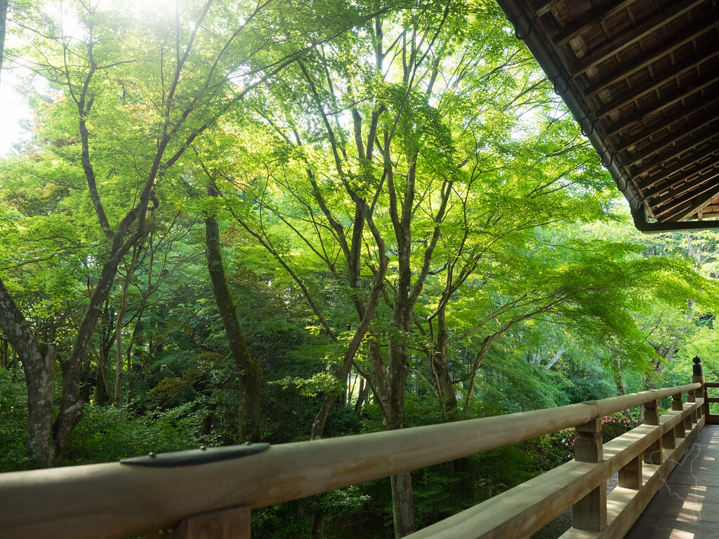 常照寺の写真 ©noriqnub(CC BY-SA 2.0)