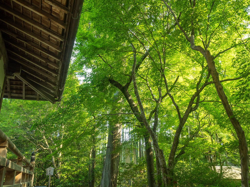 常照寺の写真 ©noriqnub(CC BY-SA 2.0)