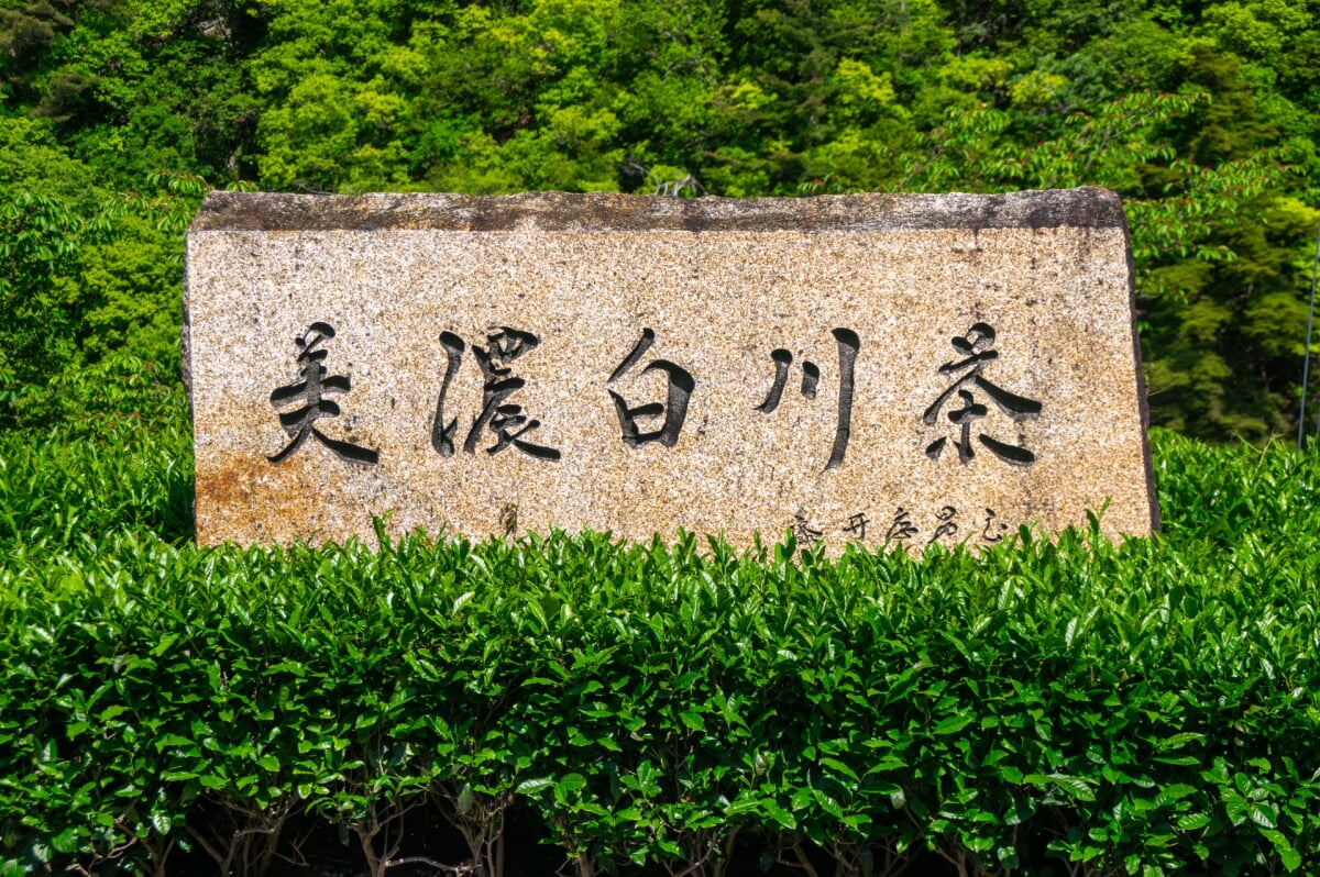 道の駅 美濃白川の写真 