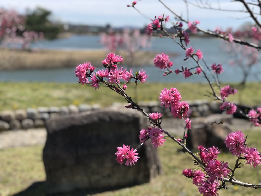 維摩池の写真 ©Nryate(CC BY-SA 4.0)