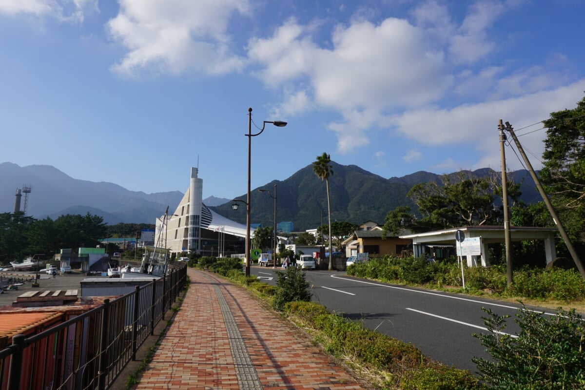 屋久島環境文化村センターの写真 