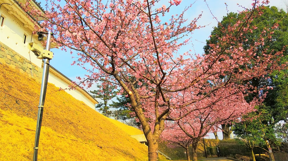 宇都宮城址公園の写真 