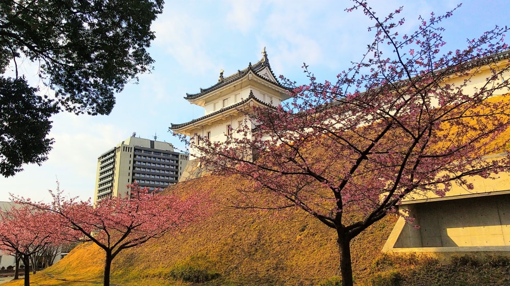 宇都宮城址公園の写真 