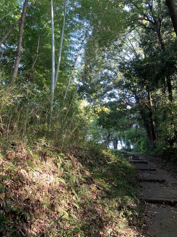 上柚木公園の写真 ©Mikhail Kotykhov(CC BY 2.0)