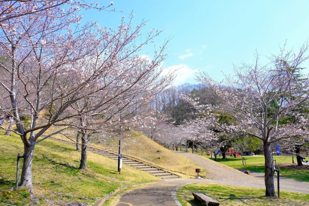 丸山総合公園の写真 