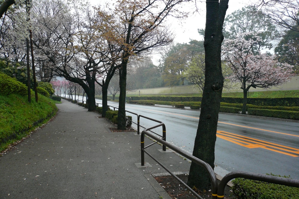 北の丸公園の写真 ©663highland(CC-BY-SA-3.0)