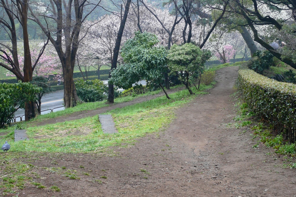 北の丸公園の写真 ©663highland(CC-BY-SA-3.0)