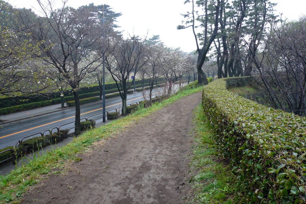 北の丸公園の写真 ©663highland(CC-BY-SA-3.0)