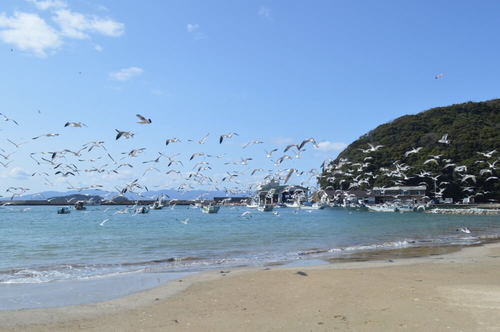 野原海水浴場の写真 ©Asturio(CC BY-SA 4.0)