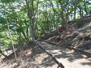 山北つぶらの公園の写真 出典:神奈川県/神奈川県オープンデータ(CC BY 4.0)