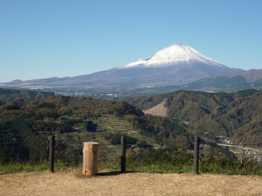 山北つぶらの公園の写真 ©Quercus(CC0)