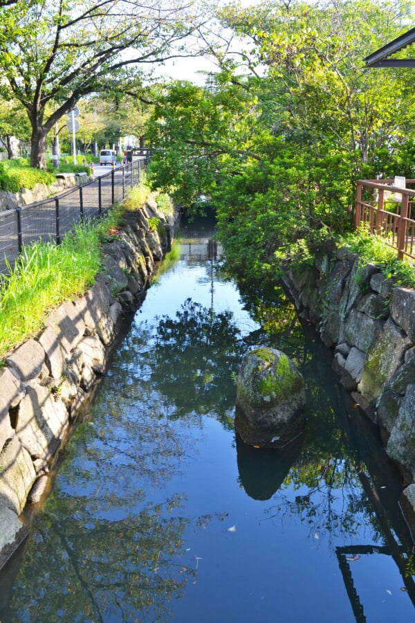 葛西用水親水水路の写真 