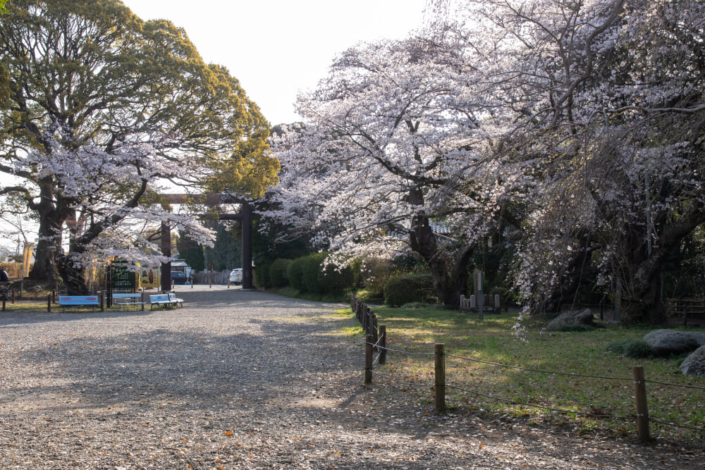 常磐神社の写真 ©Σ64(CC BY 4.0)