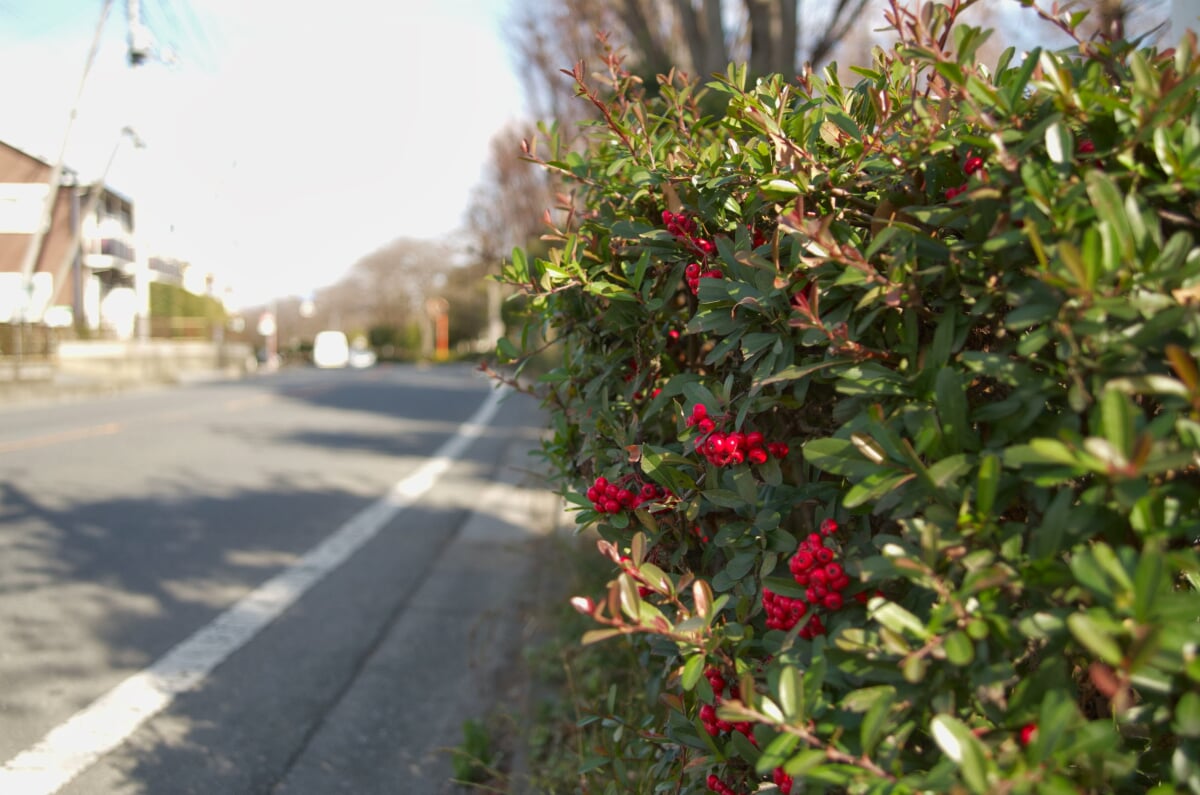 上沼公園・下沼公園の写真 ©Carbonium(CC BY 3.0)