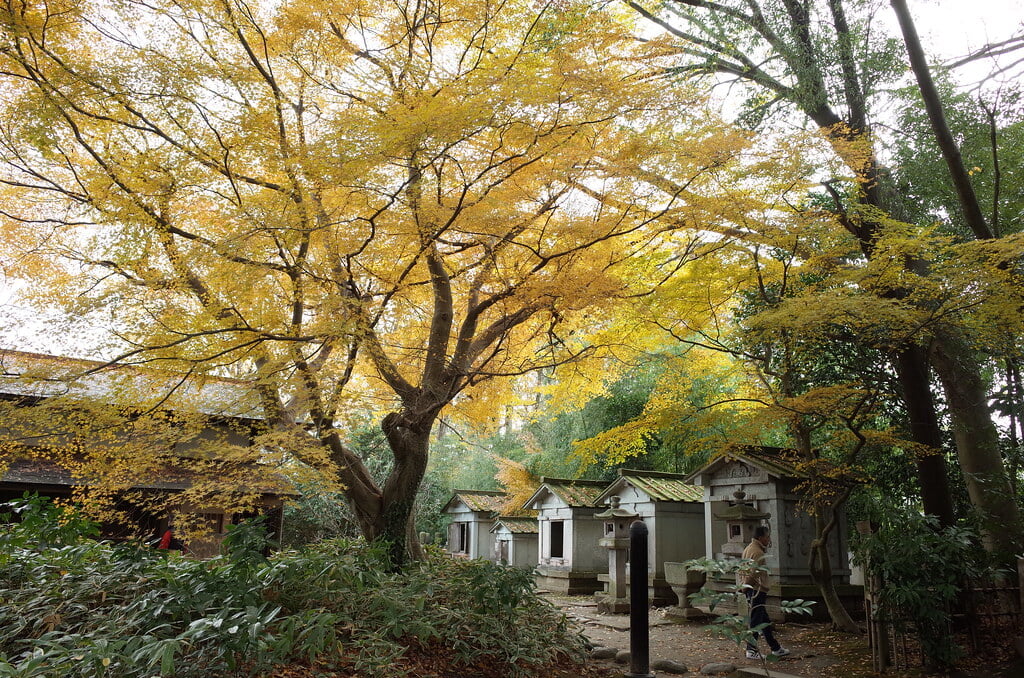 瑞龍寺の写真 ©極地狐(CC BY-SA 2.0)