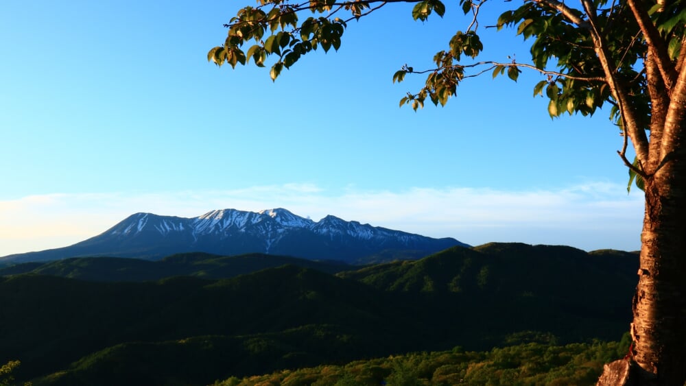 鈴蘭高原の写真 