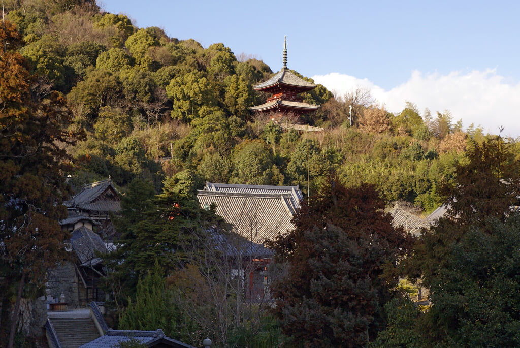 西國寺の写真 ©663highland(CC-BY-SA-3.0)