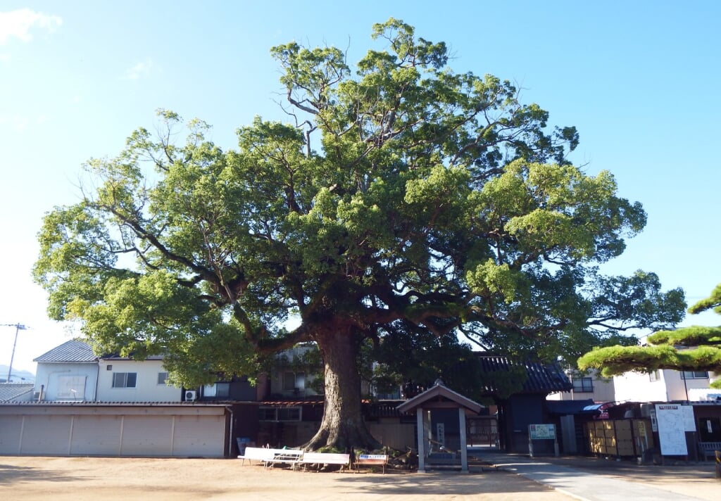 長尾寺の写真 ©Dokudami(CC BY-SA 4.0)