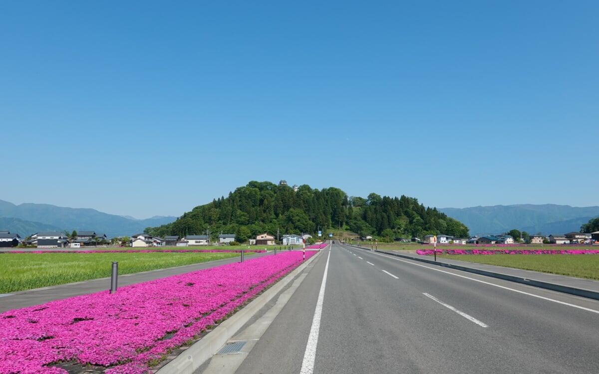 亀山公園(大野城)の写真 