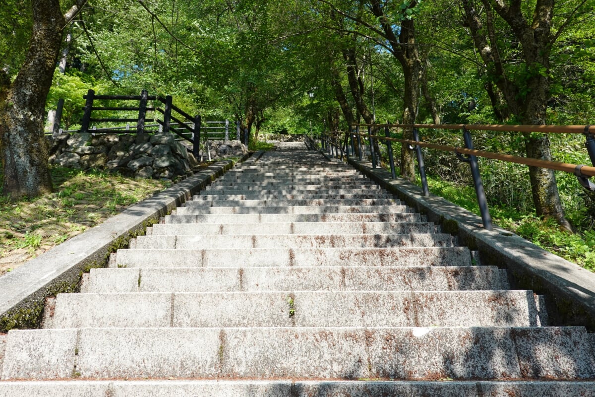 亀山公園(大野城)の写真 