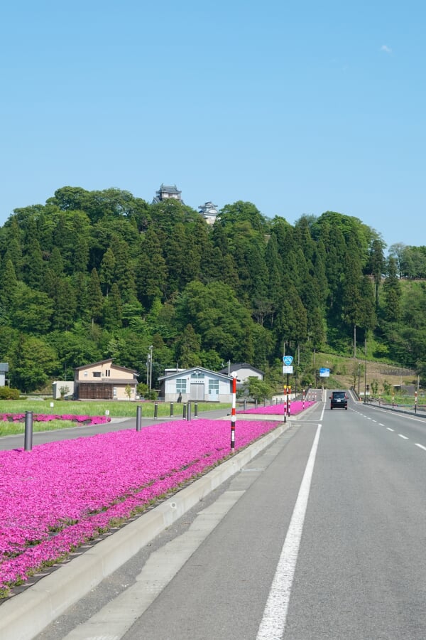 亀山公園(大野城)の写真 