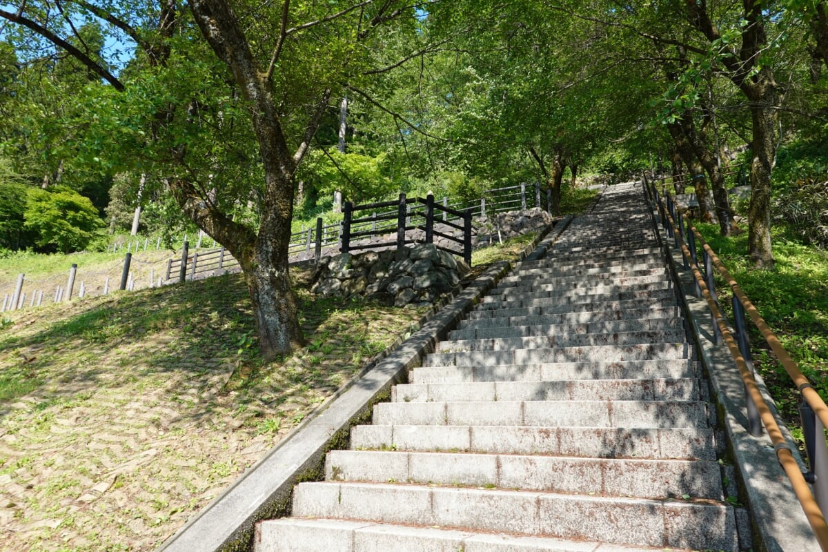 亀山公園(大野城)の写真 