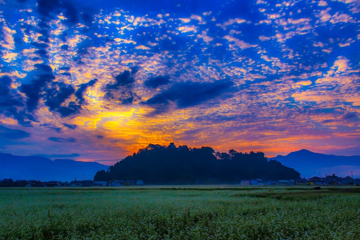 亀山公園(大野城)の写真 