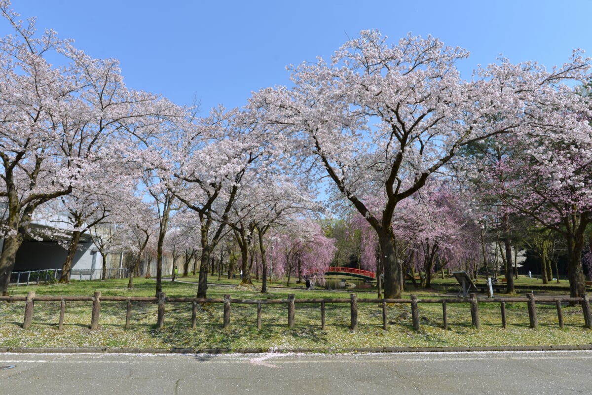 湯沢中央公園の写真 