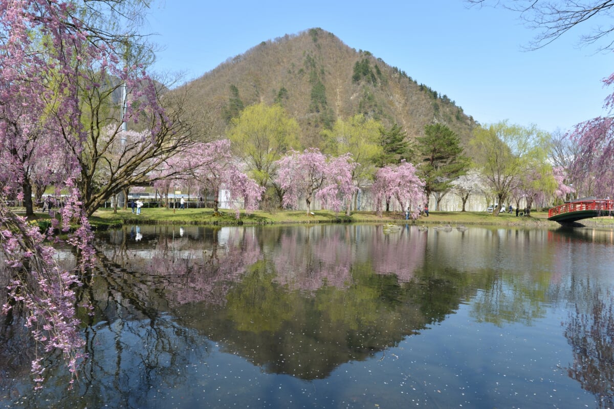 湯沢中央公園の写真 