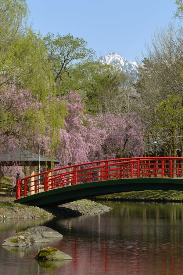 湯沢中央公園の写真 