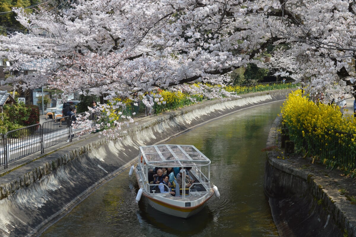 山科疏水の写真 ©Asturio(CC BY-SA 4.0)