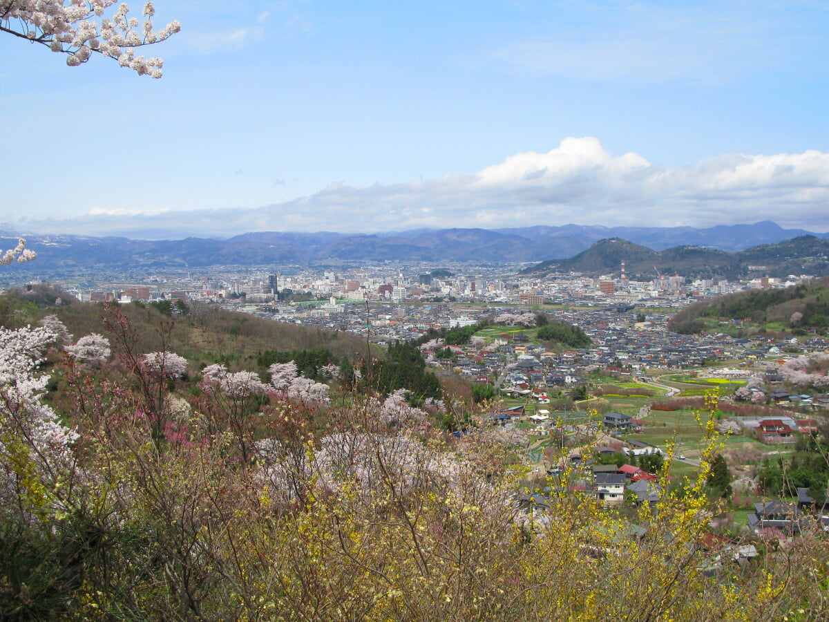 花見山公園の写真 ©京浜にけ(CC BY-SA 3.0)