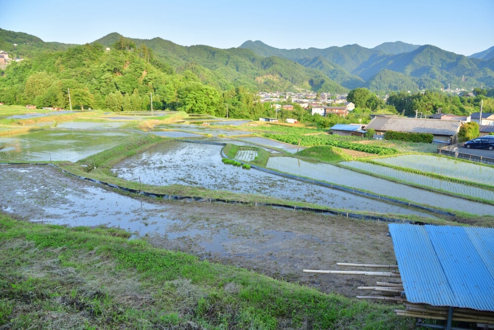 寺坂棚田の写真 