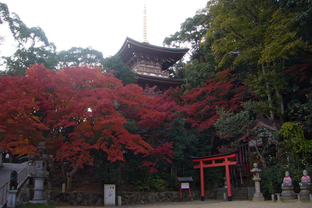 須磨寺の写真 ©663highland(CC-BY-SA-3.0)