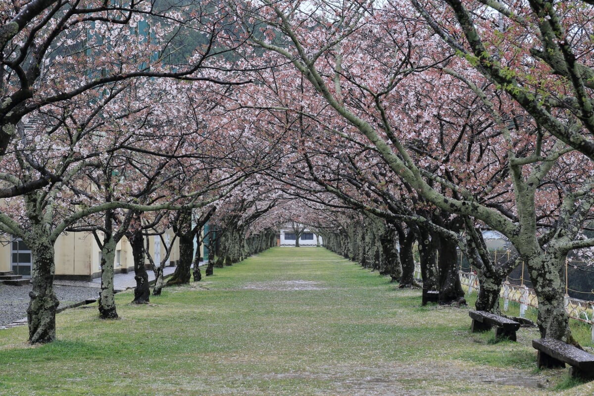 船明ダム運動公園の写真 