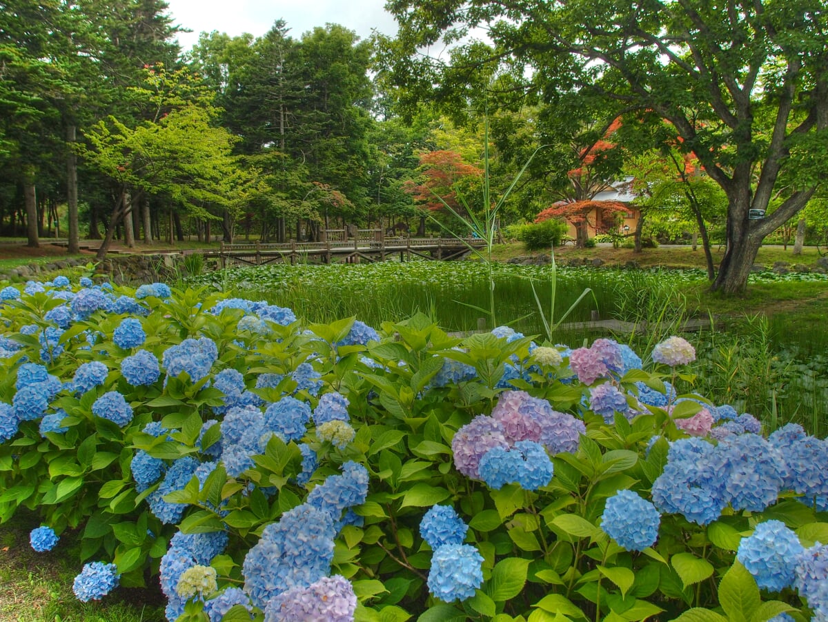 玉泉館跡地公園の写真 ©t-konno(CC BY-SA 3.0)