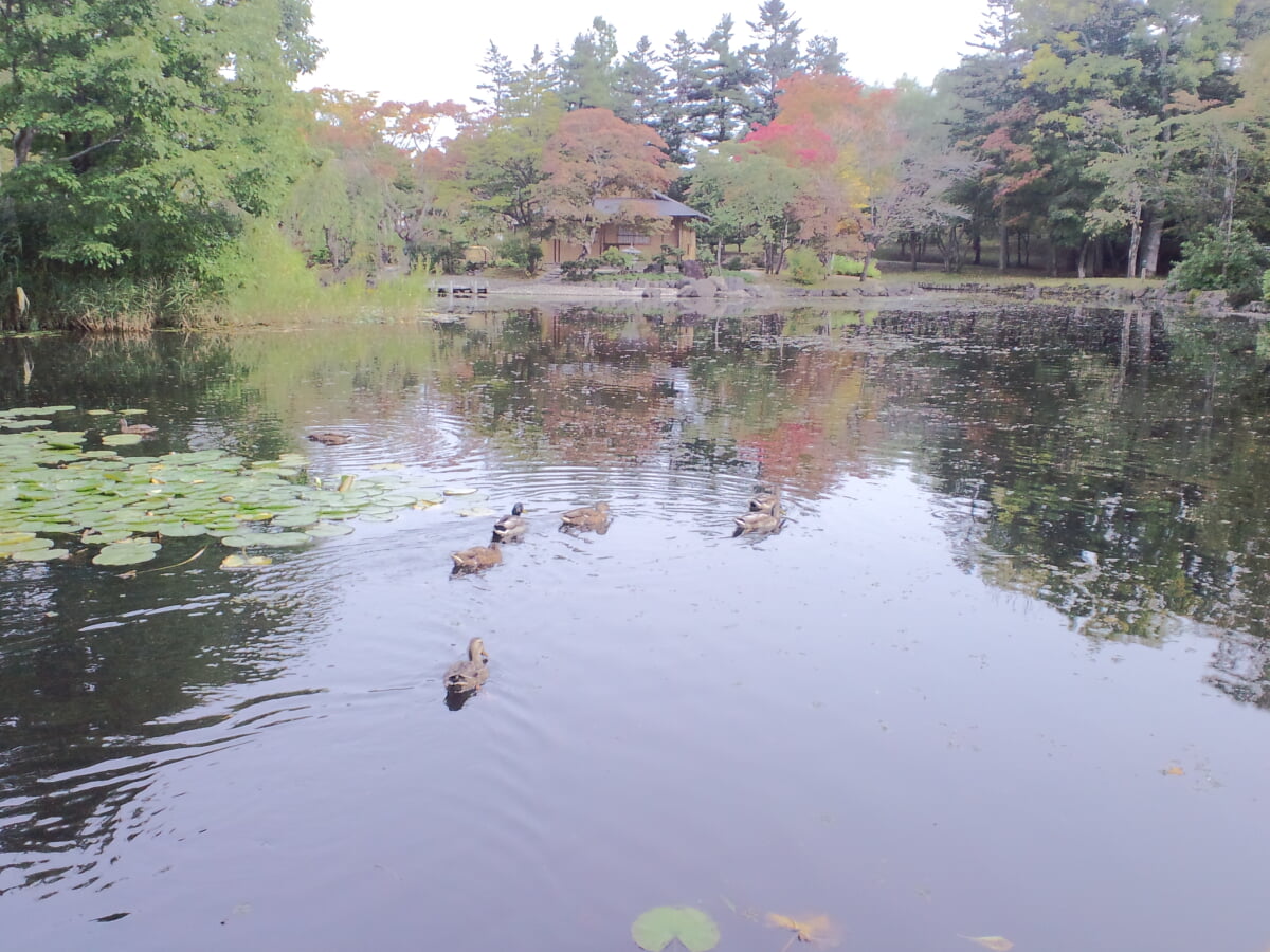 玉泉館跡地公園の写真 ©SelEle-MS(CC BY-SA 3.0)