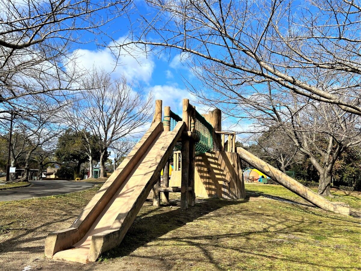 小松中央公園の写真 