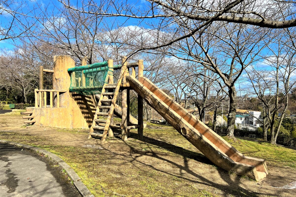 小松中央公園の写真 