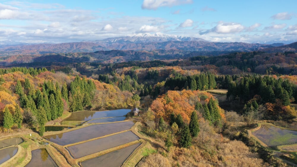 守門岳の写真 