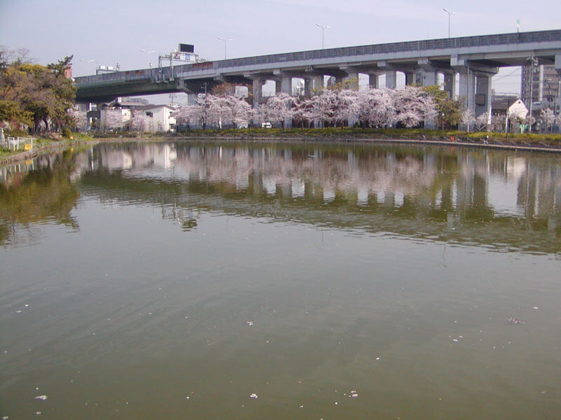 桃ヶ池公園の写真 ©BJP039(CC BY-SA 3.0)