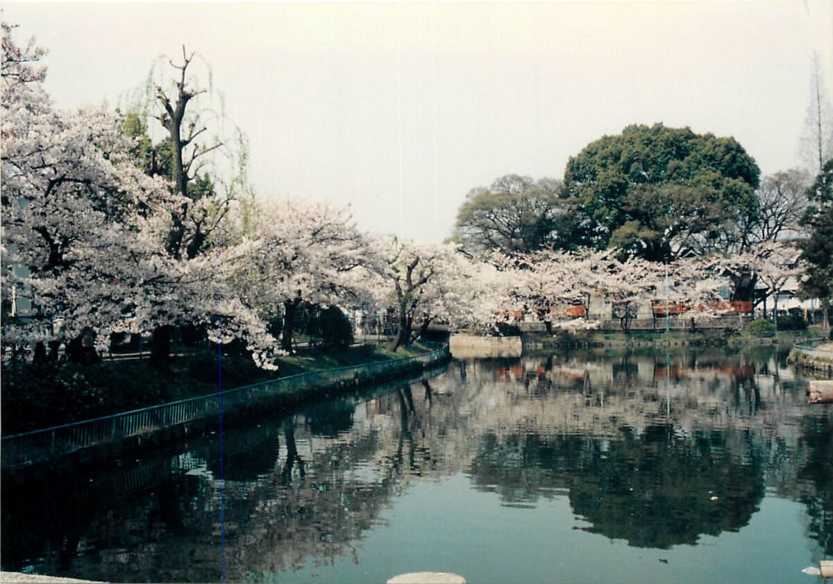 桃ヶ池公園の写真 ©Mr.Naka guutarabunko(CC0)