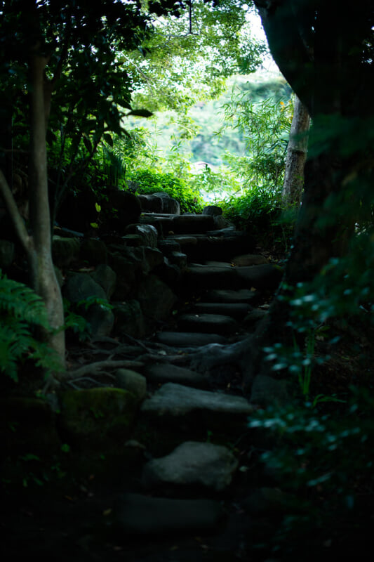 杉本寺の写真 ©Takashi(aes256)(CC BY-SA 2.0)