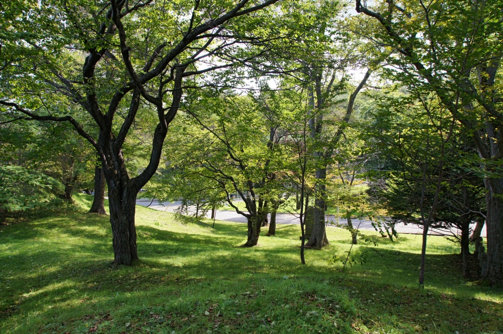 桂ヶ岡公園の写真 ©663highland(CC-BY-SA-3.0)