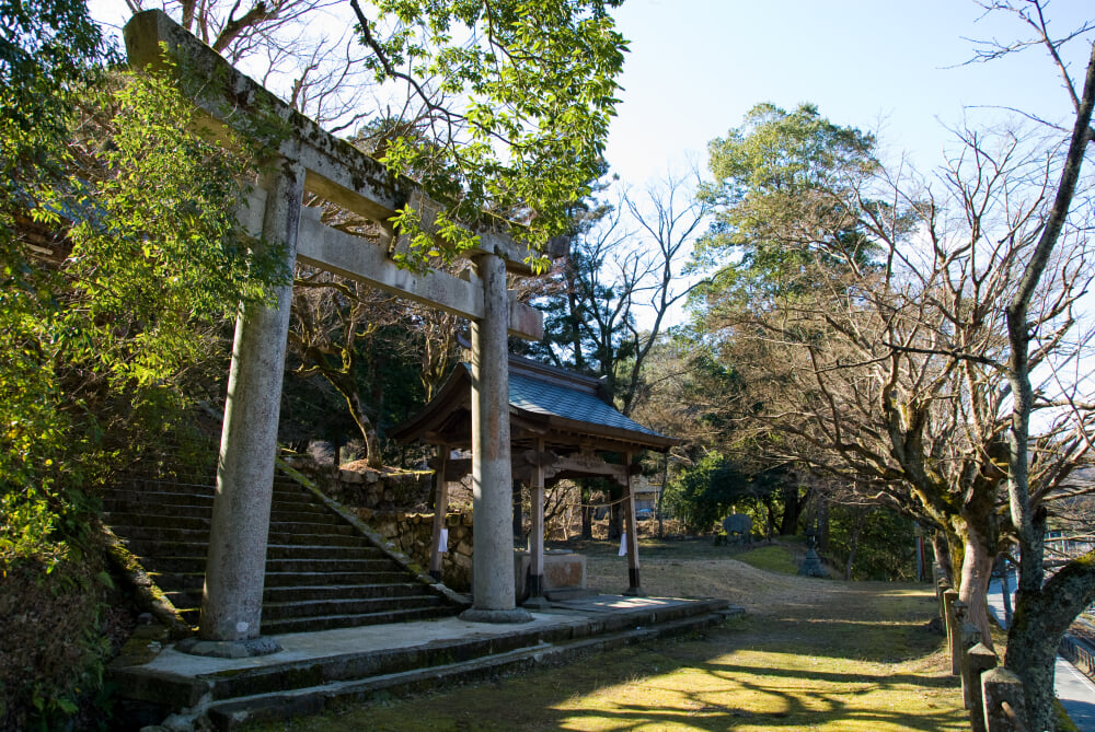 養父神社の写真 ©hashi photo(CC BY 3.0)