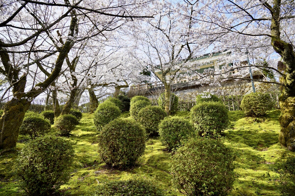 朝日山公園の写真 