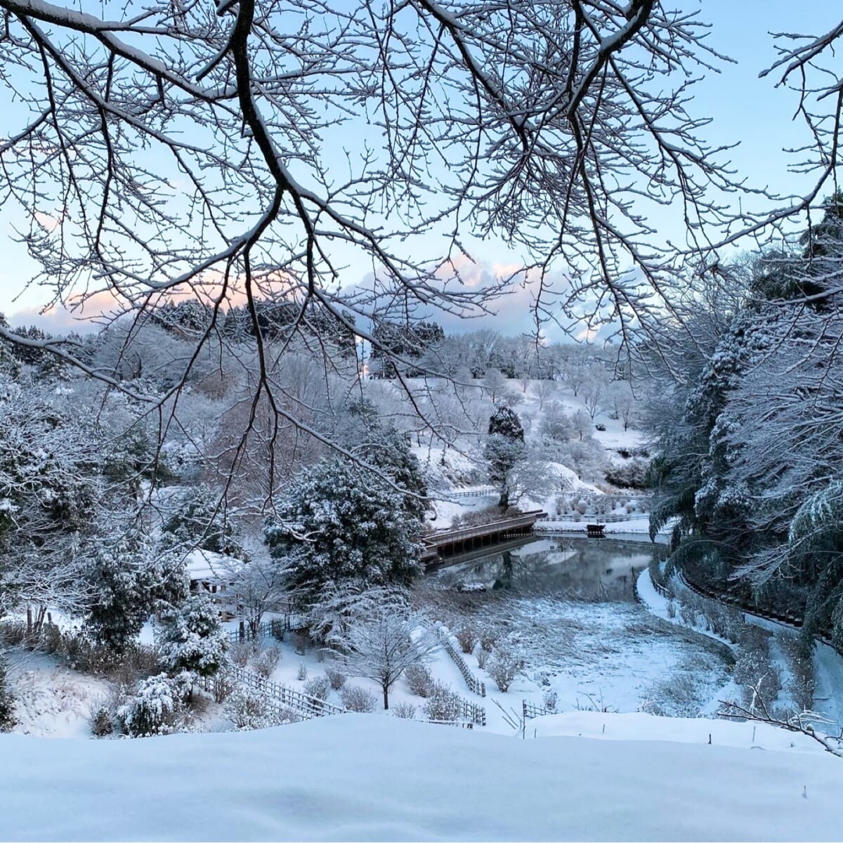 朝日山公園の写真 