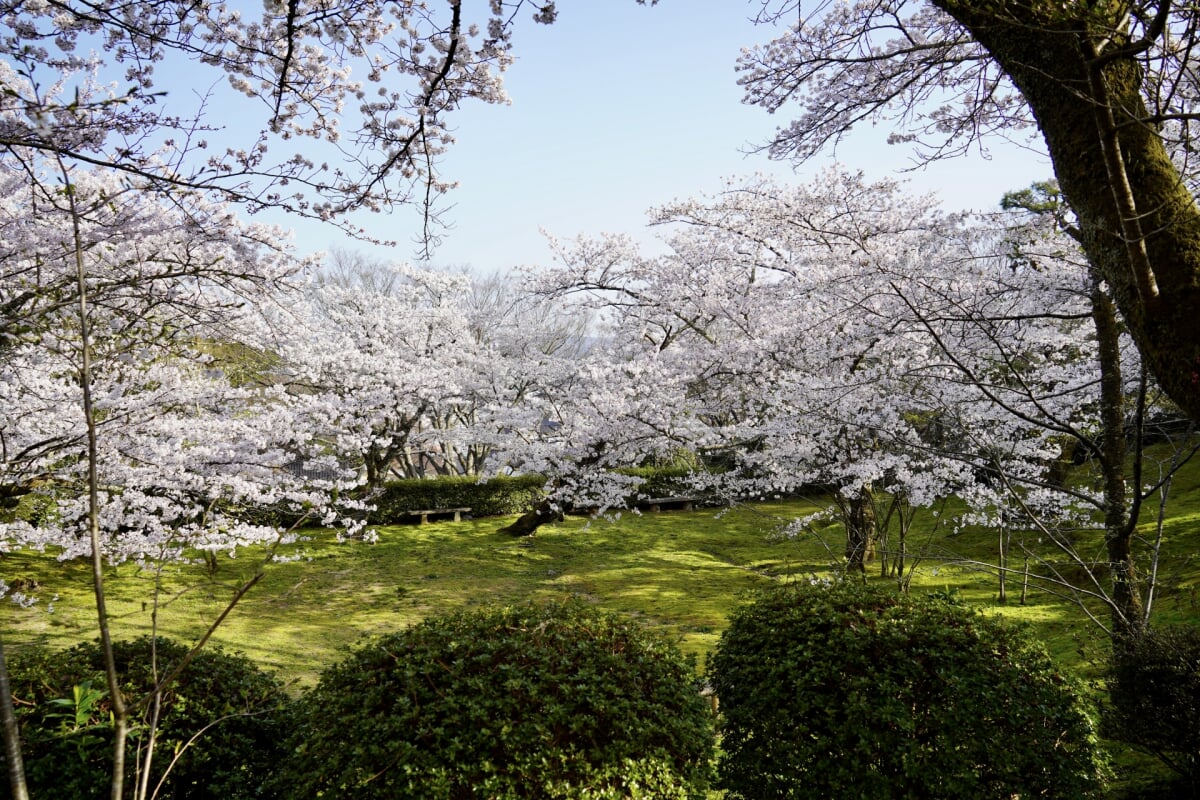 朝日山公園の写真 